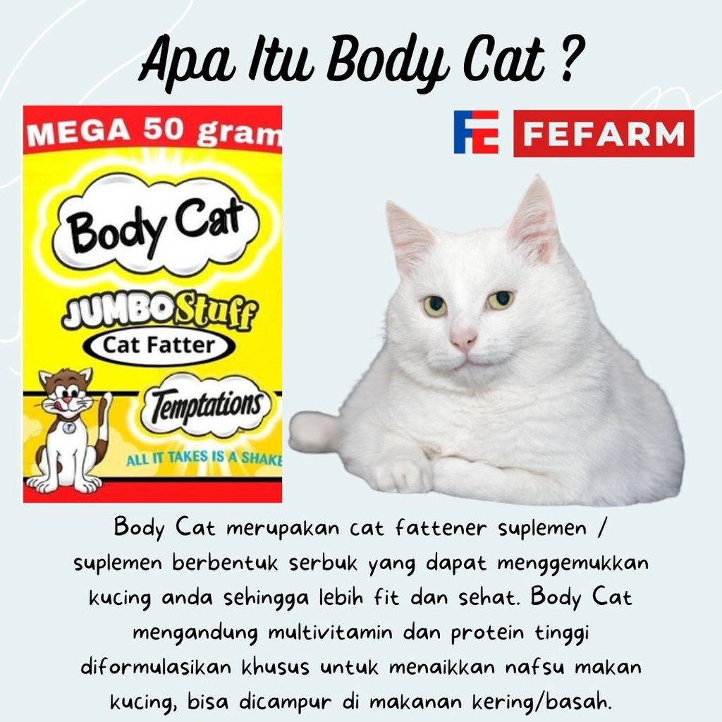 BodyCat 50g Vitamin Penggemuk Kucing Sachet Bubuk Nutrisi Powder BodyCat FEFARM