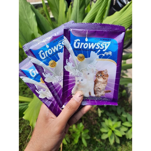 Growssy Milk Kitten 20gr Sachet  Susu Anak Kucing Growsy Koneko Cattiee Cat Top Growth