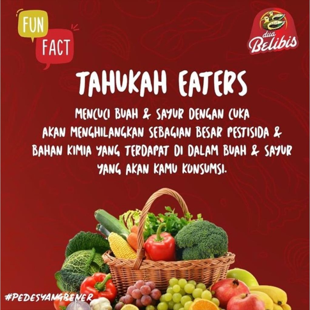 Dua Belibis Cuka Dapur 650 ML White Kitchen Vinegar Cuka Putih