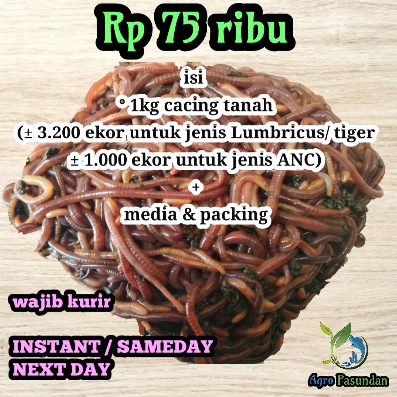 Cacing tanah 1kg . Kemasan perkilo khusus GO-SEND/Grab
