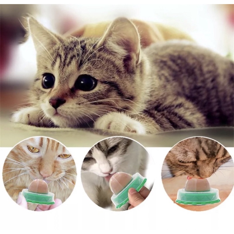 Mainan Kucing Bola Catnip Rotating Catnip Ball Cat Candy Kucing Anti Stress