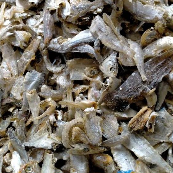 

BAYAR DITEMPAT✔️Ikan sepoh/ ikan sampah campur 500g|RA6
