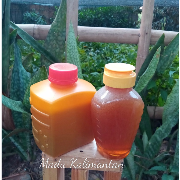 

Madu Hutan Kalimantan Super Isi Bersih 500g
