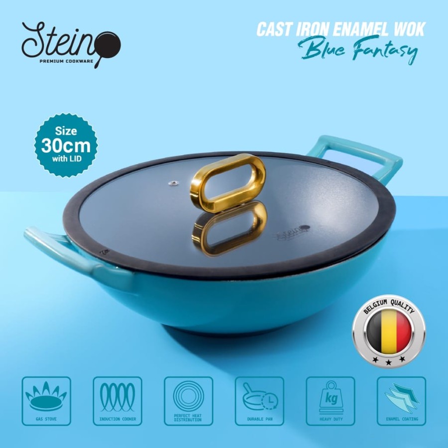 STEIN Cast Iron Wok 30 Inner Coating Enamel Belgium Non-Stick Misty Green-Blue Fantasy Wok30