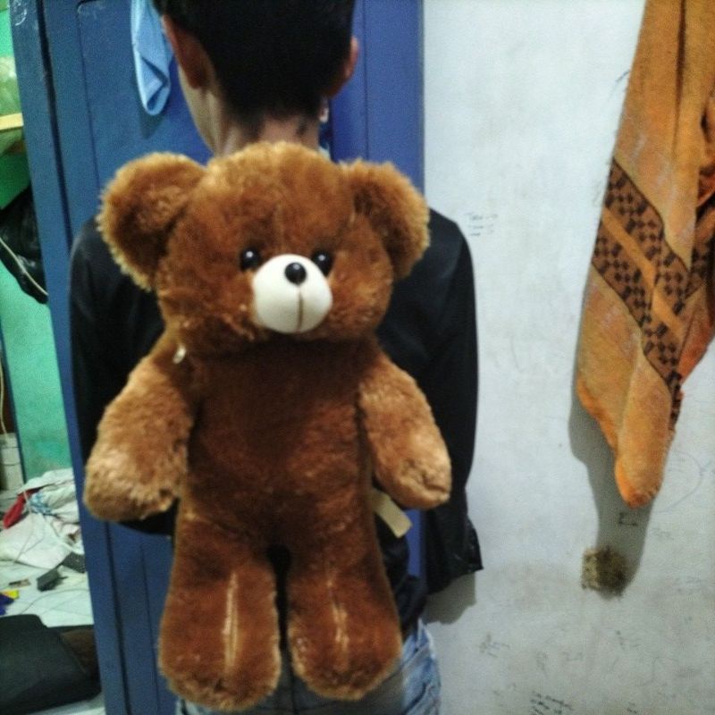 tas boneka tedyber/beuang bulu. tasransel/gendong .anak/dewasa