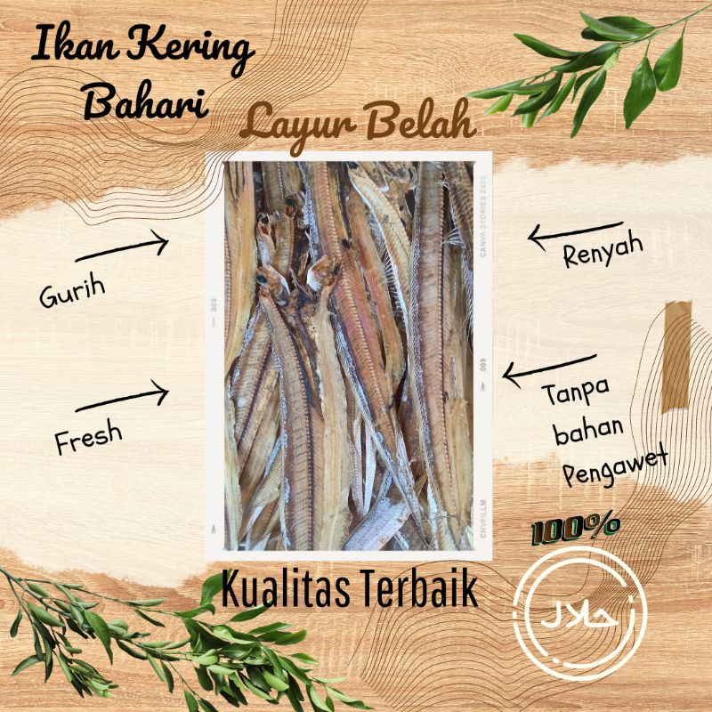 

[ TERBARU] LAYUR/JOGOR BELAH TAWAR TIDAK ASIN GURIH
