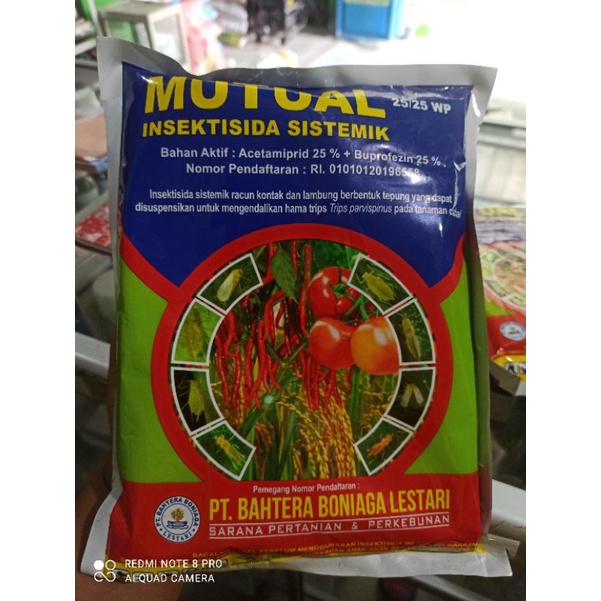 MUTUAL 25/25WP Insektisida Sistemik 250Gr