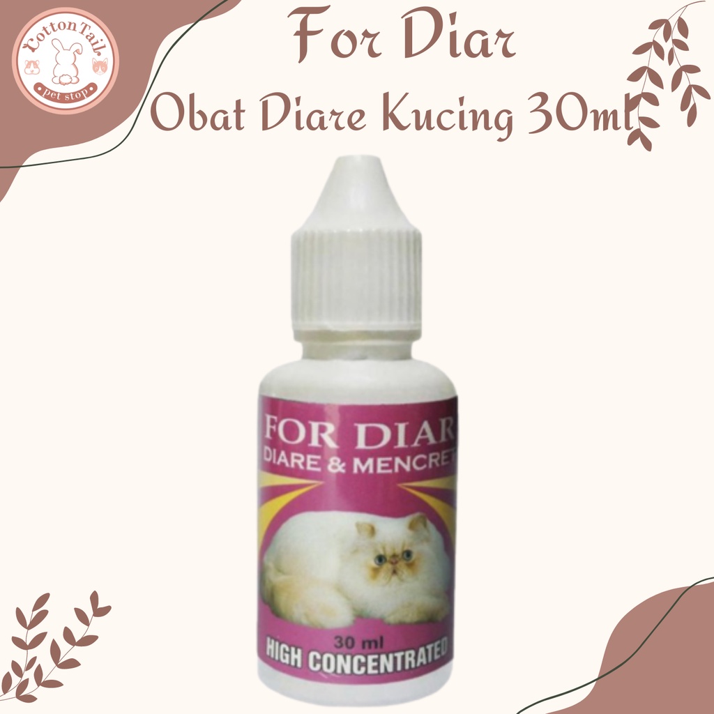 FOR DIAR -obat diare dan mencret kucing obat peradangan lambung kucing