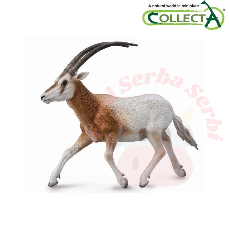 CollectA - Scimitar Horned Oryx