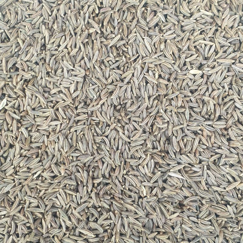 

Jintan Masak | Caraway Seeds 1Kg