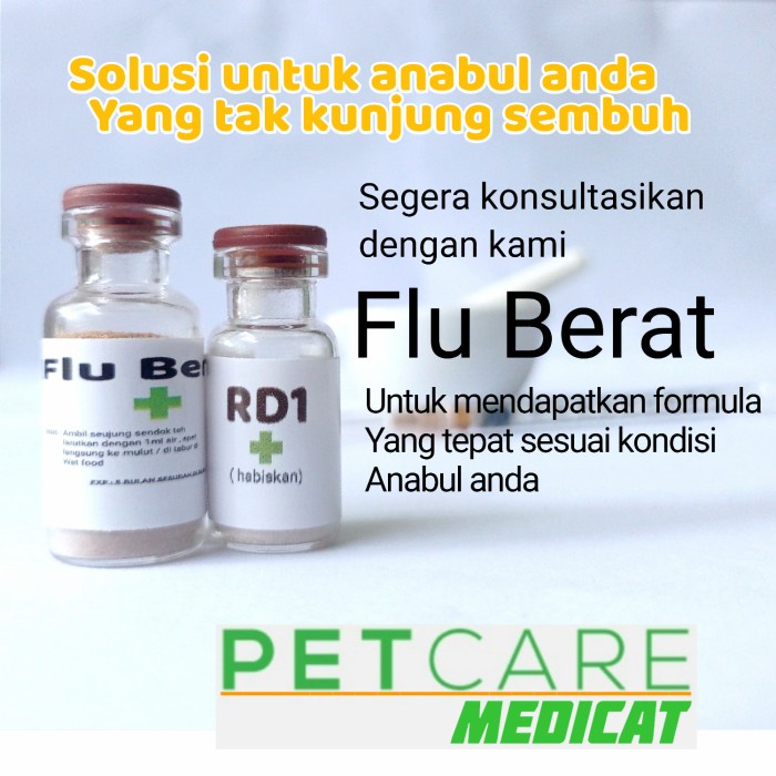 Obt Obat Flu Kucing Ampuh Obat Flu Berat Kucing Ampuh