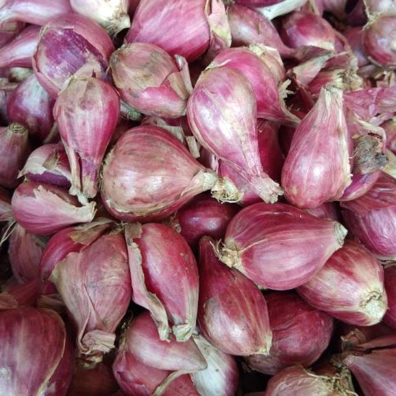 

Terkini Bawang Merah Brebes Super 1kg 95 ➻