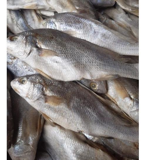 

(V-5-U☎) Ikan Asin Sileman 500 gr top produk