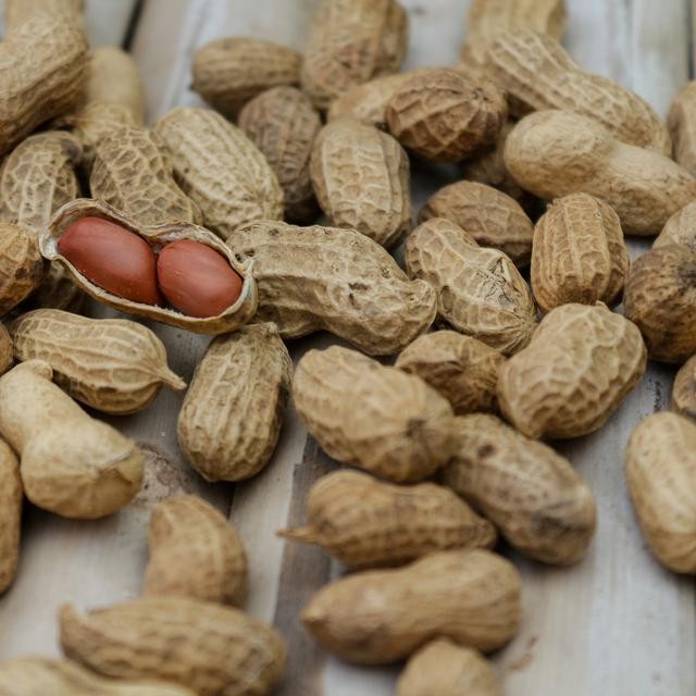 

Kacang Tanah Kulit Berkualitas - 500 Gram