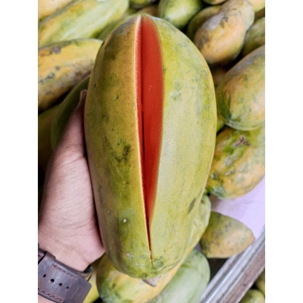 

Pepaya California Super Madu