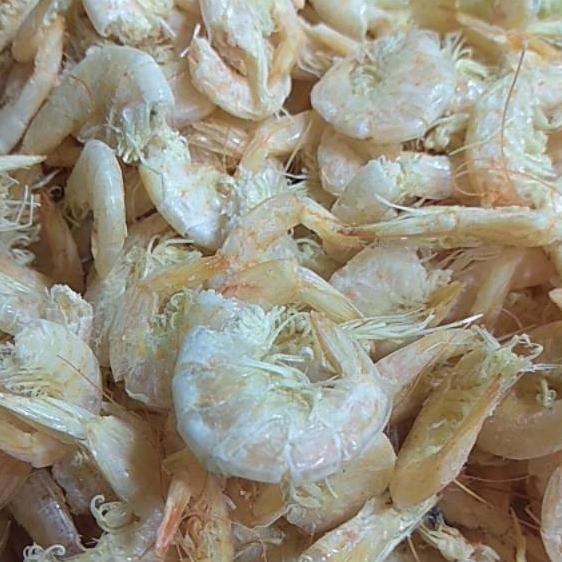 

TERLARIS Udang manis Medan® 100% asli medan,berat 250 gram !!!