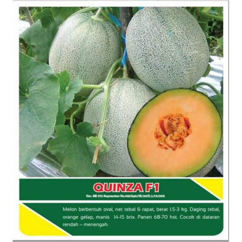 Bibit Benih Melon Quinza Jingga F1 Kemasan Repack