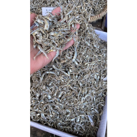 

ikan teri 500gr