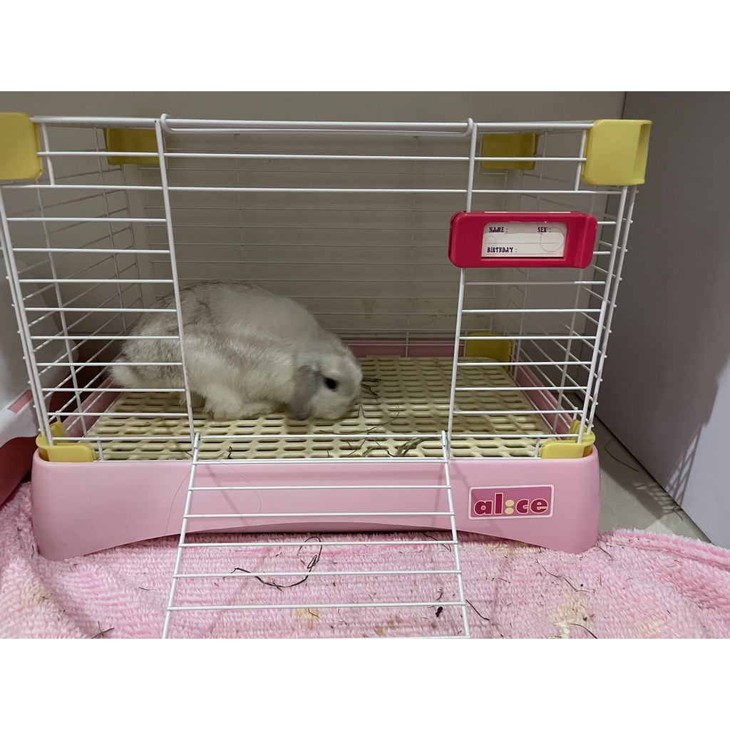kandang kelinci alice medium warna pink second used
