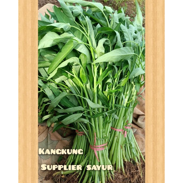 

10,Iket kangkung 1,bal terima buat pesanan resto