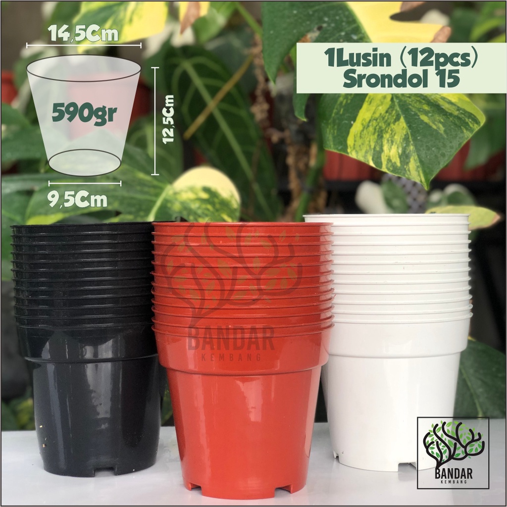 1 Lusin Pot Ruplas SRONDOL 15 Tinggi Pot Bunga Tanaman Hias Tinggi Grosir Pot Plastik Pot 15
