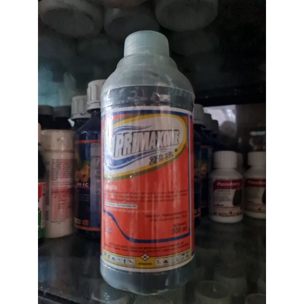 PRIMAXONE 500ML