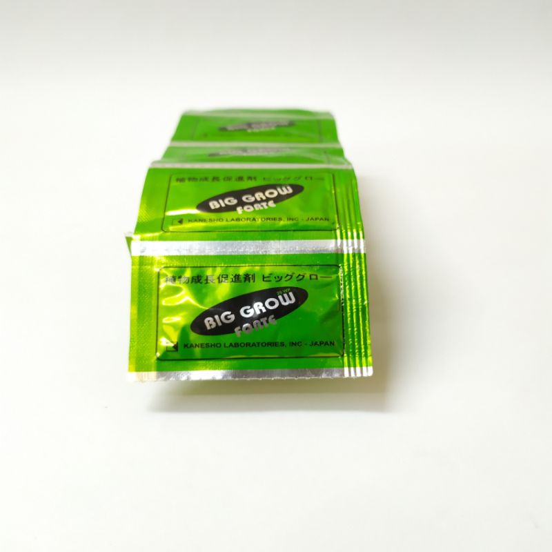 Big Grow Forte ZPT Hormon pertumbuhan tanaman 1 sachet