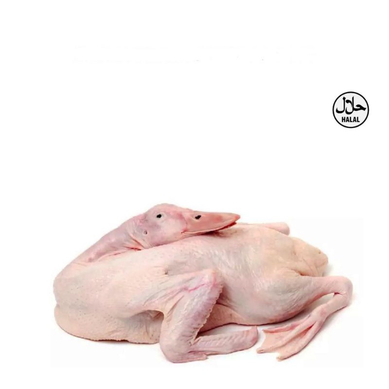 

bebek Peking fresh lokal