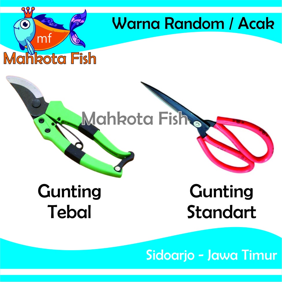 Gunting Rumput Plastik | Gunting Rumput Sintetis | Gunting Rumput Mainan