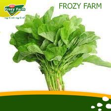 

Sayur Bayam segar Medan 1 Ikat | Frozy Farm (termurah)