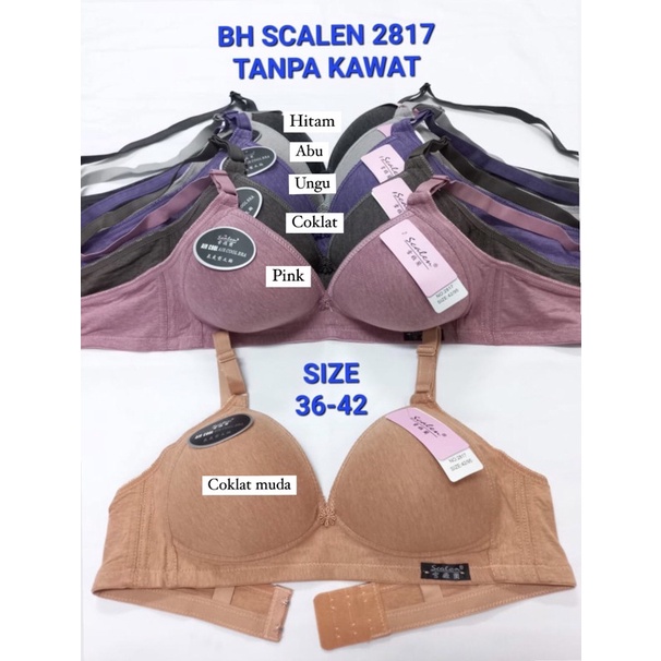Bh Bra Scalen 2817 Kaos Cup Besar Cup B Busa Tipis Tanpa Kawat 36-42