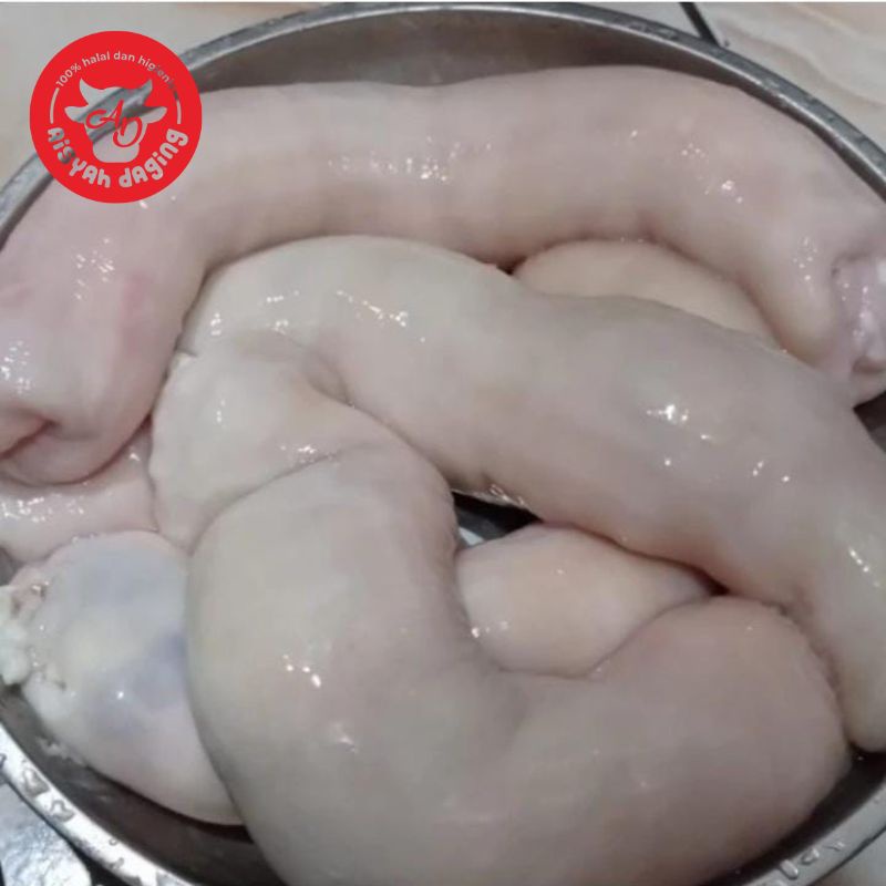 

Daechang Usus Sapi Besar Makanan Korea 500 gram - 1 Kg | Aisyah Daging