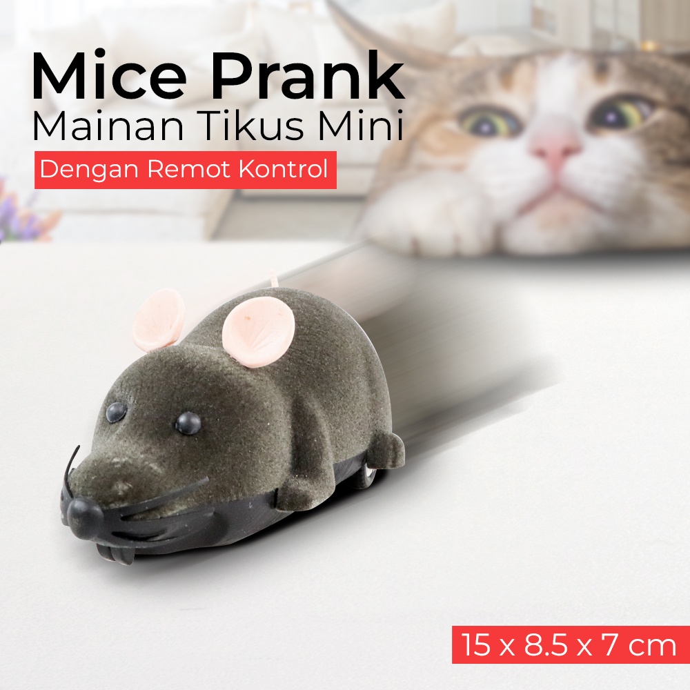 Mainan Prank Tikus Mini OMTH1IGY Dengan Remot Kontrol - Gray