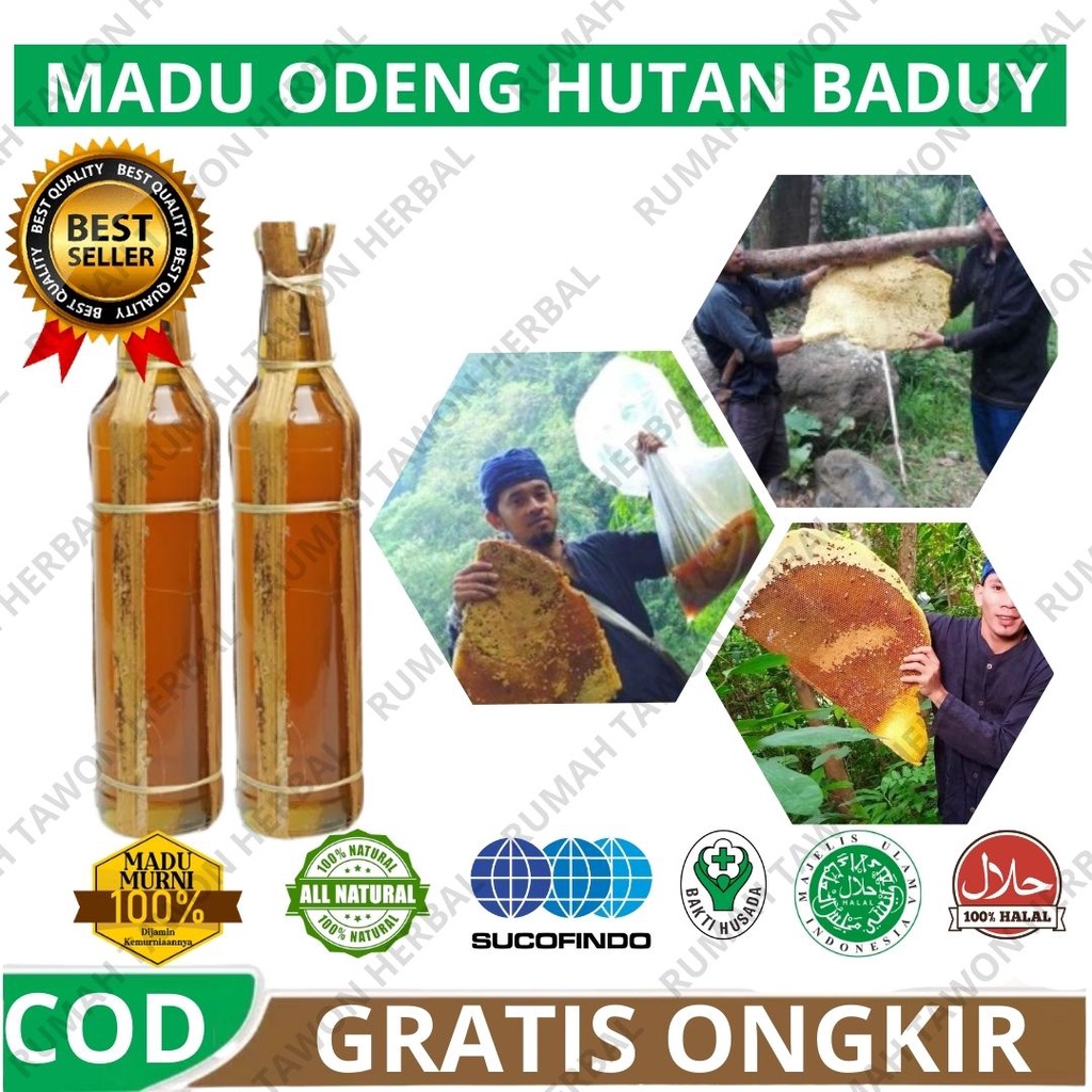 

PROMO PROMO BEST SELLER ! Madu Baduy | Madu Odeng Madu Murni Hutan Liar Asli Murni Odeng Madu Murni 100% Asli