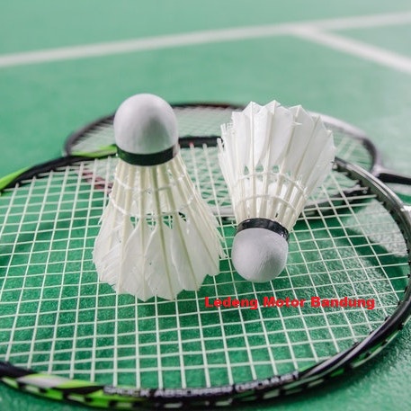 Pacific Senar Raket Badminton BuluTangkis Extra Power Genuine Tali 10M