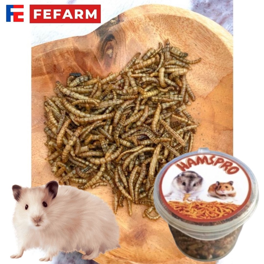 SEAFOOD HAMSTER ULAT HONGKONG JERMAN  PROTEIN TINGGI HAMSPRO FEFARM