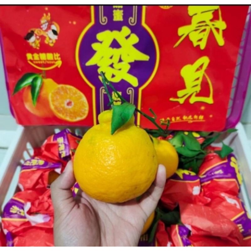 

jeruk papagan dekopon fresh import