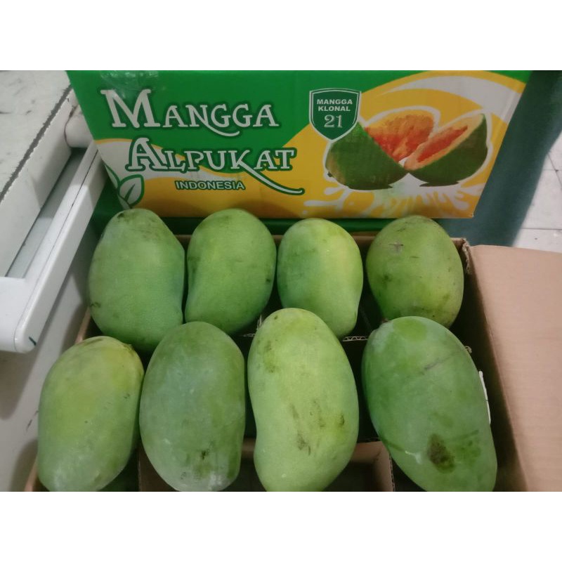 

mangga alpukat