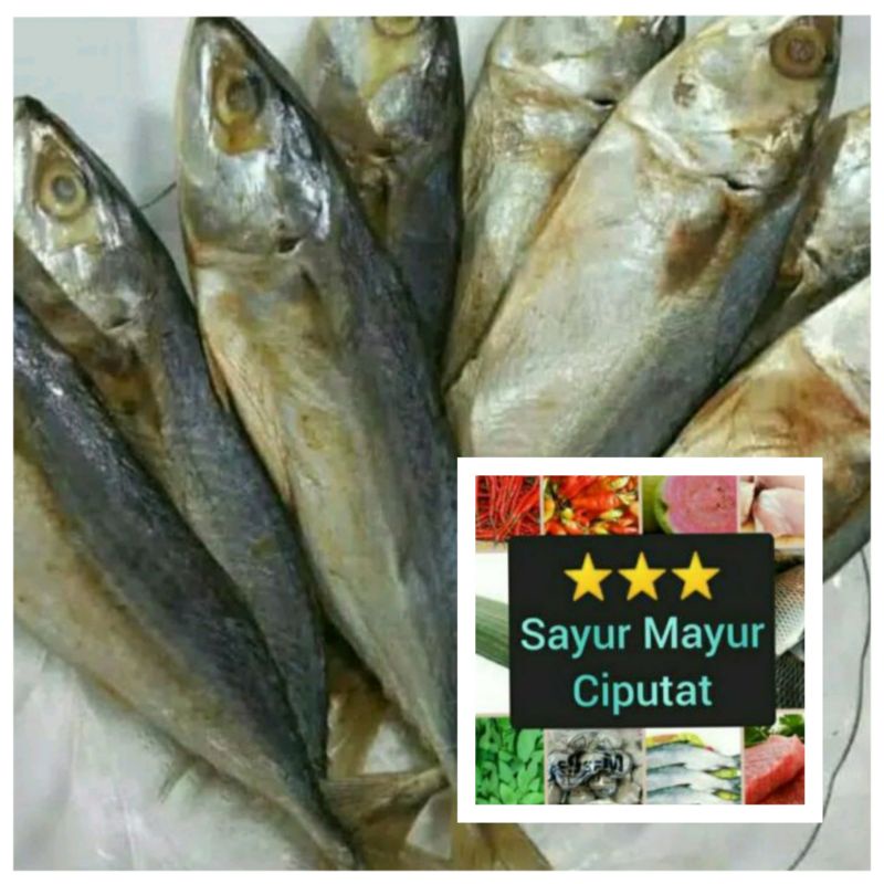 

ikan asin peda merah