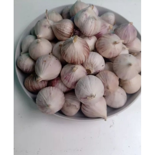 

Bawang Putih Tunggal jumbo/ lanang impor kemasan 500 gram
