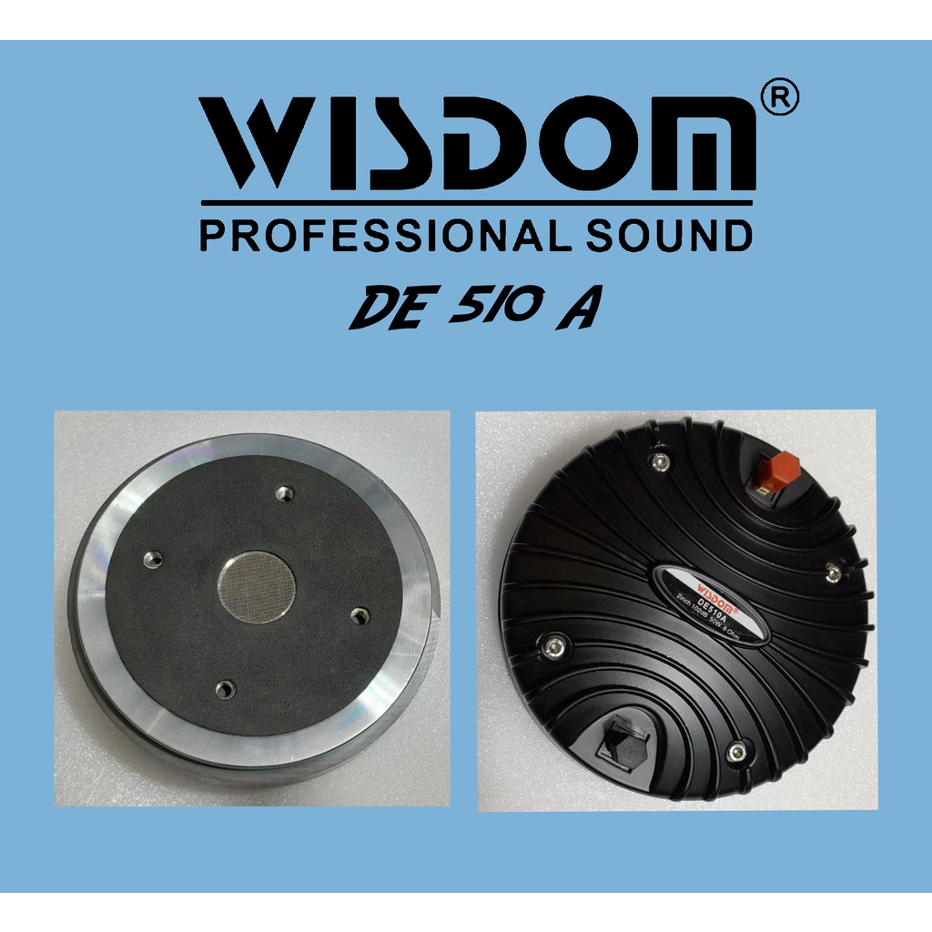 Wisdom DE510A Driver Tweeter Speaker