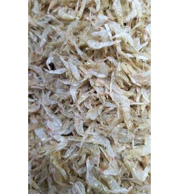 

ƒ UDANG REBON GRAGO 1 KG ク