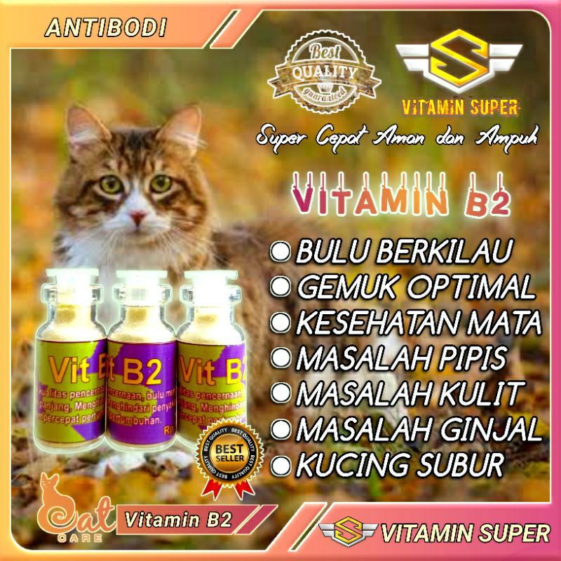 VITAMIN B2, VITAMIN UNTUK BULU KUCING