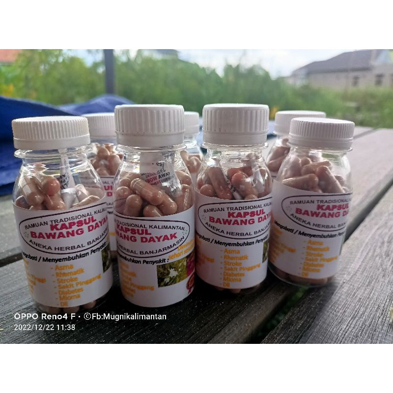 

kapsul bawang dayak mengobati penyakit diabetes dan penyakit migran