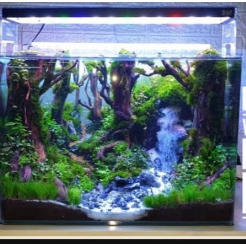 DP aquascape waterfall jungle