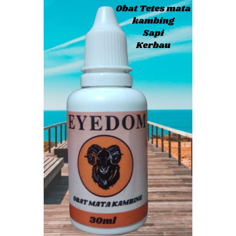 Obat Tetes Mata Kambing Sapi Kerbau Obat Sakit Mata Hewan Eyedom Shaestore15