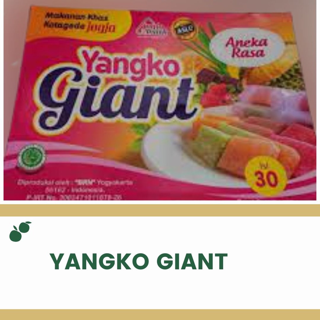 

Yangko GIANT aneka rasa Oleh-oleh Khas Jogja FREE SAFETY PACKAGING DAN BUBBLE