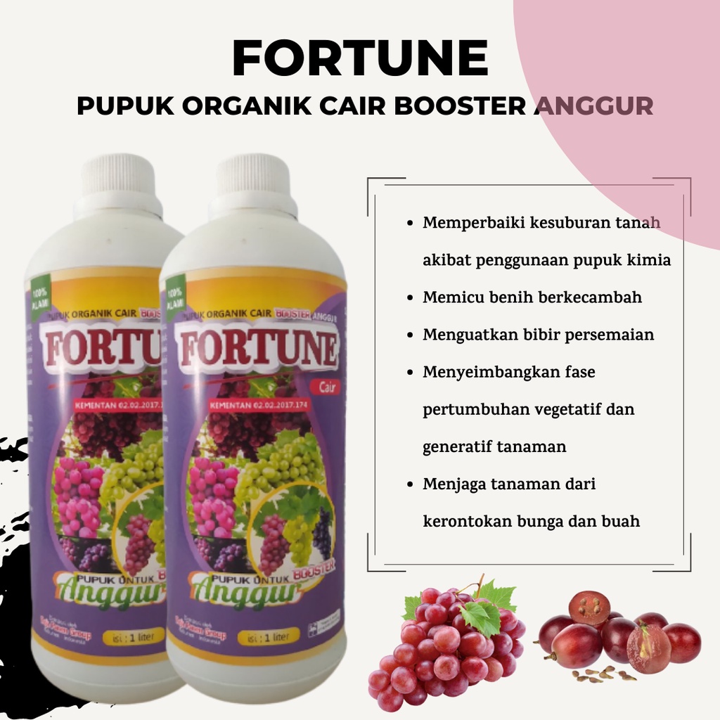 Pupuk Organik Cair Anggur, Pupuk Anggur Agar Cepat Berbuah, Pupuk Anggur Masa Pertumbuhan, Pupuk Bua
