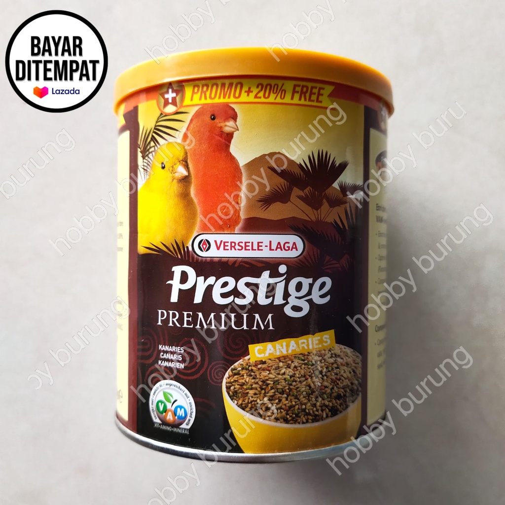 prestige premium canaries prestige canari pakan burung kenari blackthroat mozambik sanger frinch red
