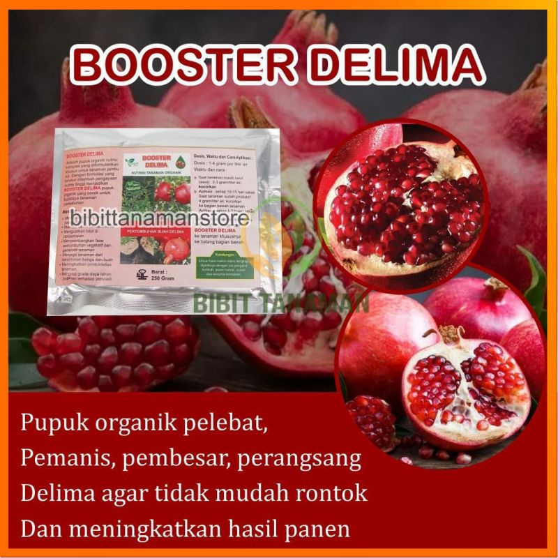 Pupuk Organik Pelebat Buah Dan Booster Delima Cepat Berbuah Lebat